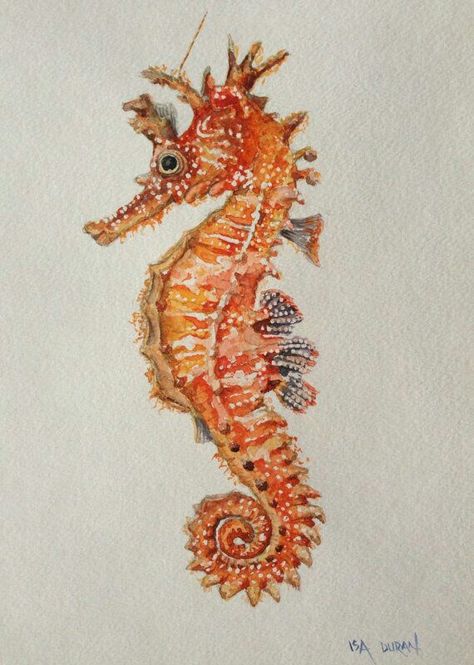 Seahorse Seahorse Watercolor, Paint Lessons, Seahorse Drawing, Seahorse Painting, Seahorse Tattoo, Seahorse Art, Sea Horse, Seahorses, Sea Art