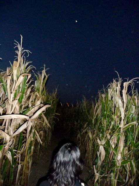 #night #nightphotography #skygazing #star #stargazing #sunset #sunrise #corn #cornmaze #fall #maze #sky #aesthetic #fallaesthetic #farm #sun #photography #photo #digital #digitalcamera Farm Night Aesthetic, Cornmaze Fall, Sky Gazing, Sun Photography, Corn Maze, Night Photos, Sunset Sunrise, Night Aesthetic, Sky Aesthetic