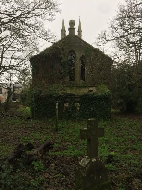 Robin Bury’s recently-published Buried Lives: The Protestants of Southern Ireland is, appropriately enough, something of a curate’s egg. However, the book provides a valuable account of the decline… Protestant Aesthetic, Irish Witch, Irish Aesthetic, Southern Gothic Aesthetic, Ireland Aesthetic, Church Aesthetic, Gothic Church, Image Bank, Sacred Architecture