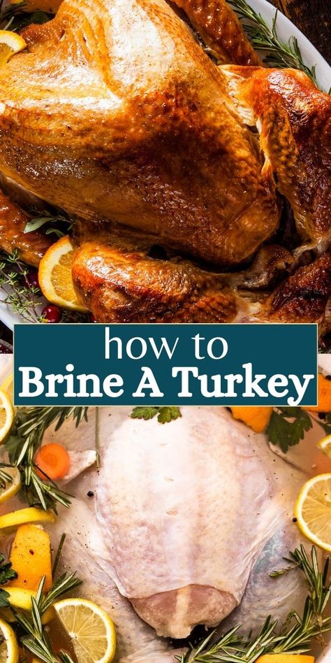 Discover the secret to a juicy Thanksgiving turkey with my step-by-step brining guide. Impress even the harshest critics with a perfectly moist, delicious, and flavorful bird! Brining Turkey, Cooking The Perfect Turkey, Turkey Brine Recipe, Turkey Tips, Brine Recipes, Brined Turkey, Thanksgiving Turkey Recipes, Turkey Brine Recipes, Smoked Turkey Recipes