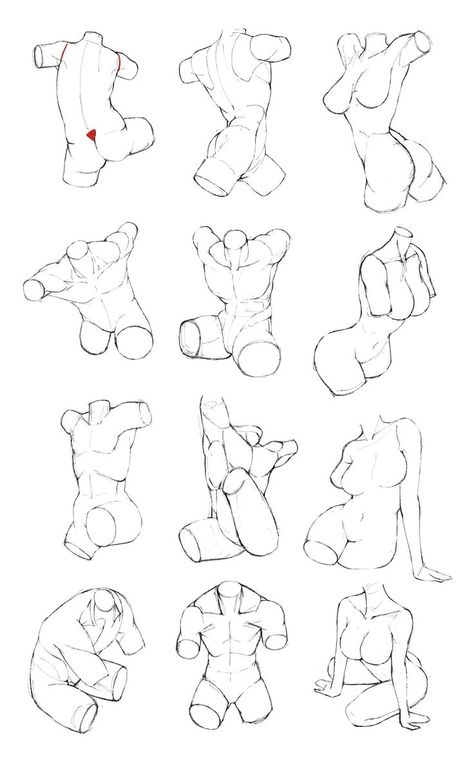 Anatomy How To, Torso Drawing Female, Sugestive Reference Pose, Woman Torso Reference, Female Torso Reference, Woman Torso, Feminine Body, Body Female, Drawing Female Body