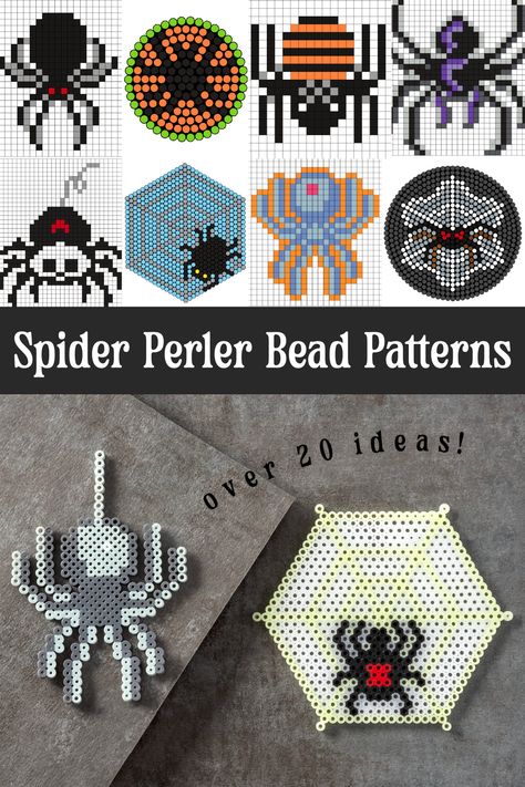 Get spider perler bead patterns for both Halloween as well as everyday insect crafts! There are over 20 patterns great for kids or adults. Spider Web Perler Bead, Insect Perler Bead Patterns, Perler Bead Spider, Spider Perler Bead Patterns, Spider Perler Beads, Halloween Hama Beads Patterns, Adult Perler Bead Patterns, Perler Halloween, Halloween Hama Beads