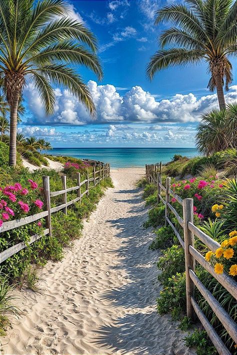 Beach Path, Trees And Flowers, Beautiful Ocean Pictures, Exotic Beaches, Ocean Pictures, Best Resorts, Beautiful Ocean, Alam Yang Indah, Beautiful Nature Pictures