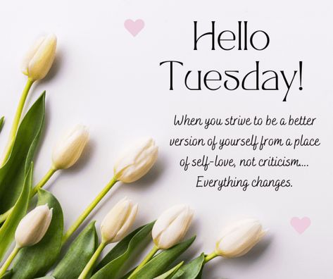 Hello tuesday quotes Tuesday Tips Life, Tuesday Vibes Quotes, Tuesday Quotes Motivational Inspiration, Hello Tuesday Mornings, Hello Tuesday Quotes, Good Tuesday Morning Quotes, Tuesday Motivation Inspiration, Tuesday Inspirational Quotes, Tuesday Affirmations