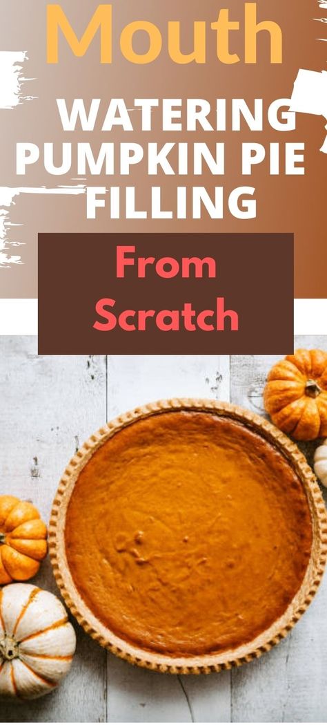 Pumpkin Pie Filling From Scratch, Freezing Pumpkin, Mini Pie Recipes, Home Canning Recipes, Pie Filling Recipes, Best Pumpkin Pie, Homemade Pumpkin Pie, Delicious Family Meals, Single Mom Life