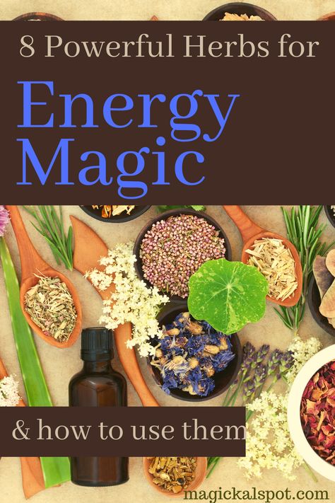 Herbs For Energy, Herbs For Protection, Energy Magic, Magickal Herbs, Witch Herbs, Energy Tea, Magic Herbs, Green Magic, Magical Herbs