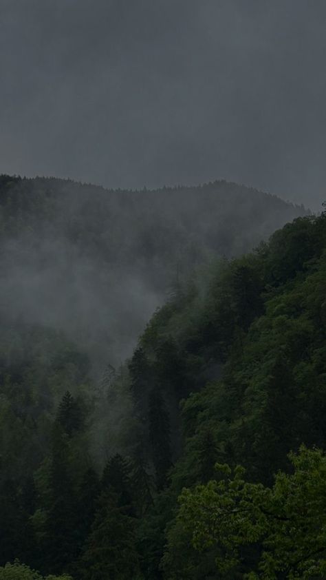 Foggy Mountains Aesthetic, Foggy Aesthetic Wallpaper, Foggy Mountain Aesthetic, Foggy Mountains Wallpaper, Mountains Aesthetic Wallpaper, Twilight Mountains, Phtalo Green, Foggy Aesthetic, Foggy Nature