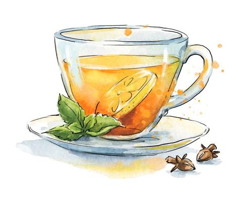 Tea Watercolor Painting, Green Tea Drawing, Tea Art Drawing, Tea Cup Sketch, Tea Illustration Art, Watercolor Art Food, Tea Leaves Illustration, Transparent Mug, Tea Drawing