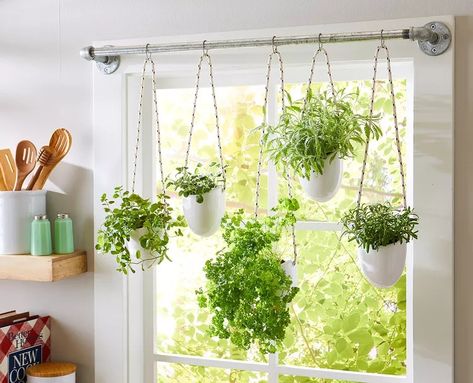 19 Uses for Tension Rods That Go Beyond Hanging Curtains Herb Hanging, Kitchen Window Herb Garden, Kitchen Garden Window, Window Herb Garden, Herb Garden Planter, Growing Herbs Indoors, Diy Curtain Rods, Hanging Herb Garden, Hanging Herbs