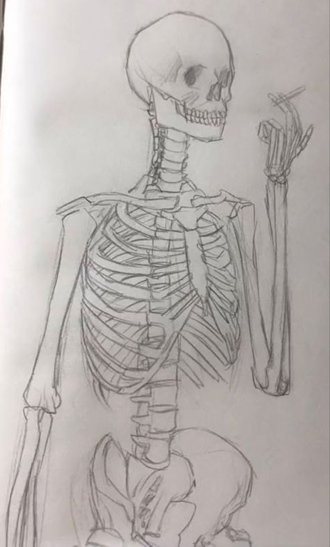 Scelotin Drawing, Skeleton Sketch Simple, Sketches Skeleton, Skeleton Sketch, Cool Drawing Ideas, Skull Sketch, Cool Drawing, Body Image Art, Skeleton Drawings