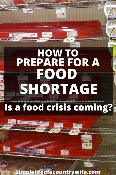 food shortage 3 Month Emergency Food Supply List, Food Shortages 2023, Preparing For Food Shortage, Food Shortage Prep List, Long Term Food Storage List, Food Shortage, What To Stock Up On For Food Shortage, Stock Pile Food List, Foods To Stock Up On