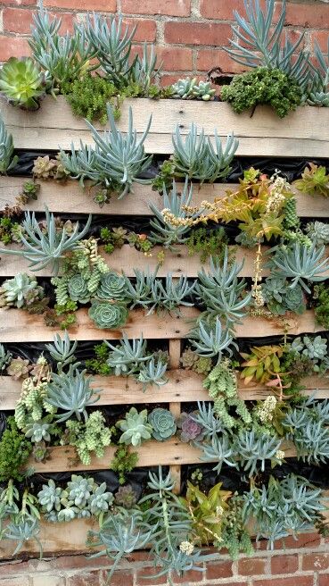 Palet Garden Ideas, Palet Garden, Plant Partition, Milk Can Decor, Wall Planters Outdoor, Vertical Planting, Garden Decor Wedding, Pallet Projects Garden, Plant Inspiration