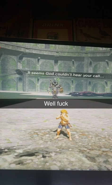 Botw Zelda, Zelda Funny, Legend Of Zelda Memes, Zelda Botw, Video Game Memes, Legends Of Zelda, Link Zelda, Zelda Breath Of The Wild, Legend Of Zelda Breath