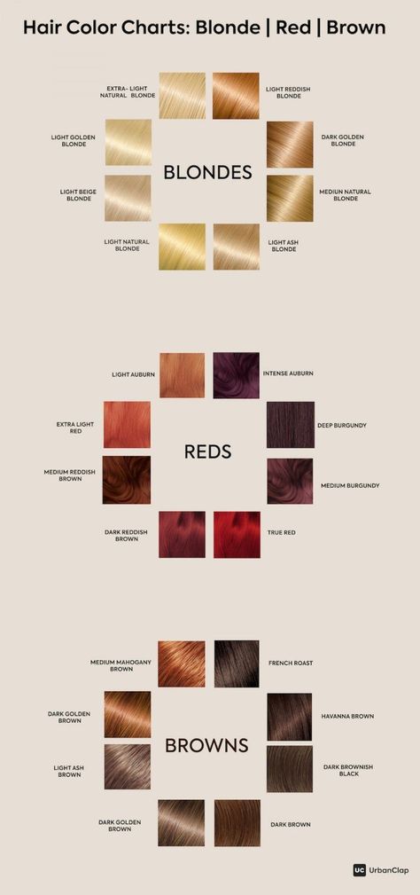 Hair Colour Chart, Blond Ash, Hair Color For Morena, Hair Color Red Ombre, Beige Blond, Hair Color Chart, Hair Color Shades, Hair Color Purple, Colour Chart