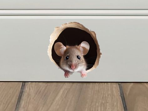 Mouse Wall Sticker, Mouse House In Wall, Mouse Hole In Wall, Secret Nook, Sticker For Wall, Mouse Sticker, 3d Wall Decals, Mouse Wall, Mouse Hole