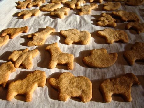 healthy animal crackers Animal Crackers Recipe, Pilgrim Life, Healthy Crackers, Eat Cookies, Cracker Recipes, Toddler Snacks, Animal Crackers, Animal Cookies, Salty Snacks