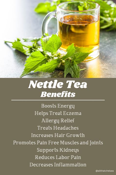 Stinging Nettle Tea Recipe, Nettle Tea Blend Recipe, Nettle Tea Benefits Hair, Stinging Nettle Tea Benefits, Herbal Tea Recipes Natural Remedies, Nettles Aesthetic, Nettle Leaf Tea Benefits, Fit Body For Vision Board, Stinging Nettle Recipes