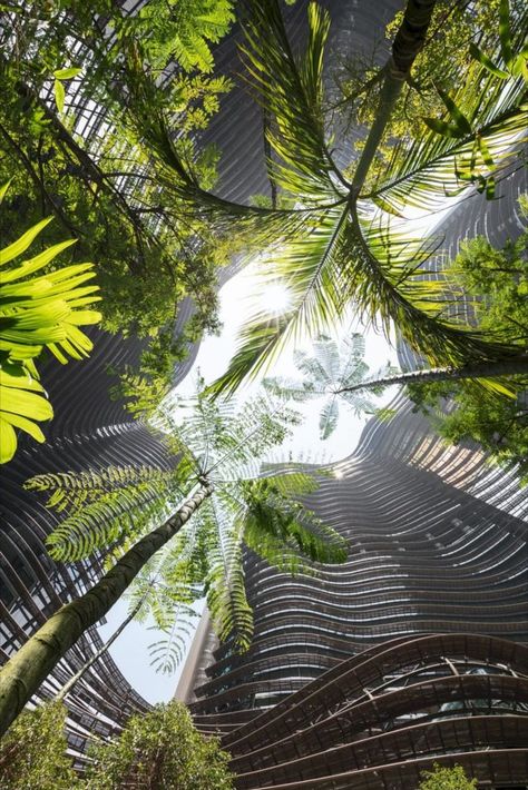 Architectural Thesis, Indoor Waterfall, Green City, Gardens By The Bay, Sustainable Energy, Garden City, Design Strategy, Sustainable Architecture, City State