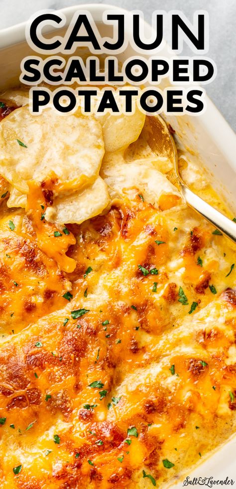 New Orleans Potatoes, Cajun Winter Recipes, Cajun Potato Casserole, Scalloped Potatoes Dinner Meals, Cajun Cuisine Recipes, Spicy Scalloped Potatoes, Mexican Scalloped Potatoes, Crawfish Side Dishes, Cajun Scalloped Potatoes