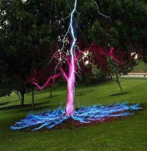 Photographer Darren Pearson captured this incredible long exposure shot of lightning striking a tree. Wow! A Tree, In The Middle, The Middle, Pink, Blue