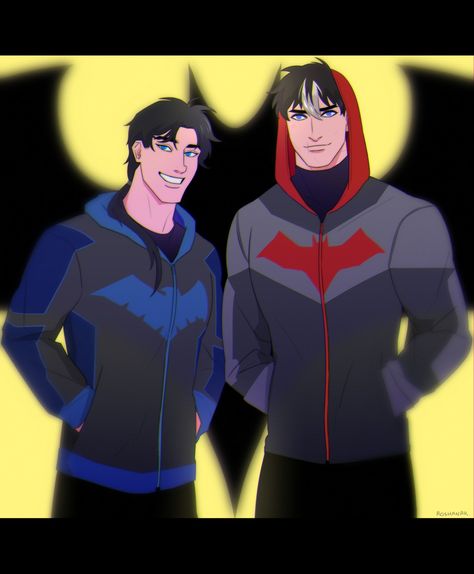 Nightwing Hoodie, Batman Red Hood, Duke Thomas, Jason X, Red Hood Jason Todd, Wayne Family, Batman Beyond, Damian Wayne, Batman Family