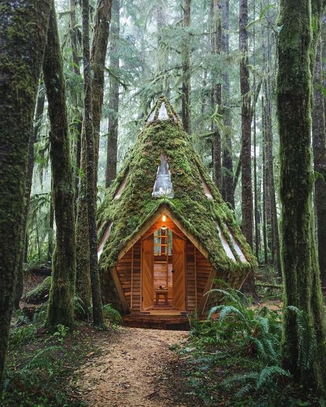 Witches Cottage, Black Cabin, Sacred Garden, Forest Cabin, Stone Cottage, Cabin In The Woods, Witch House, Cabins In The Woods, House In The Woods