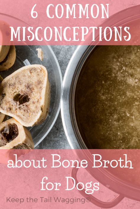 Broth For Dogs Recipes, Bone Broth For Dogs Recipes, Bone Broth Recipe For Dogs, Bone Broth Dogs, Bone Broth For Dogs, Broth For Dogs, Homemade Beef Broth, Making Bone Broth, Homemade Bone Broth