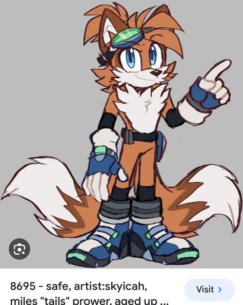 Sonic Redesign, Sonic Oc, Cartoon Style Drawing, Sonic Funny, Sonic Fan Characters, Punk Art, Moon Drawing, Hedgehog Art, Sonic Adventure