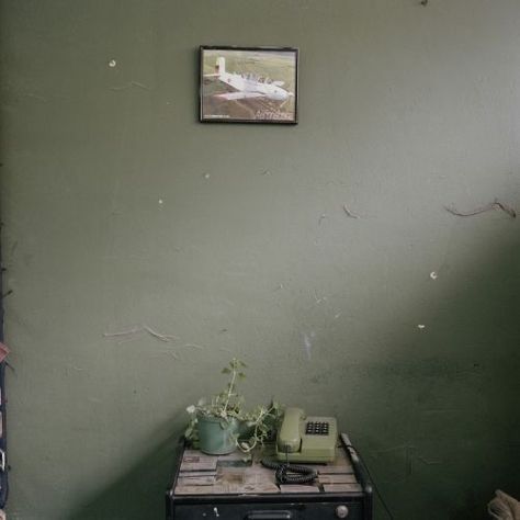 Alec Soth, Robert Doisneau, Digital Museum, Green Walls, Home Tattoo, Photographer Portfolio, Magnum Photos, Contemporary Photography, Documentary Photography