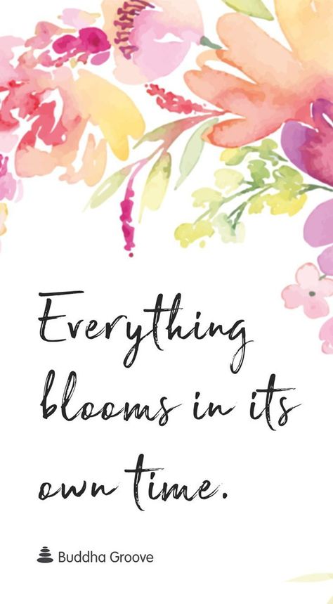 Inspiration for Bloom  #gardeningquotes Check more at http://decoration.stream/inspiration-for-bloom/ Beautiful Flower Quotes, Ftd Flowers, Bloom Quotes, Floral Quotes, Spring Quotes, Garden Quotes, Flower Quotes, Nature Quotes, A Quote