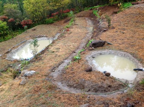 Pond Landscape Design, Desert Permaculture, Hillside Farming, Natural Sculpture, Pond Landscape, Retention Pond, Ponds For Small Gardens, Grey Water System, Backyard Kids Play Area