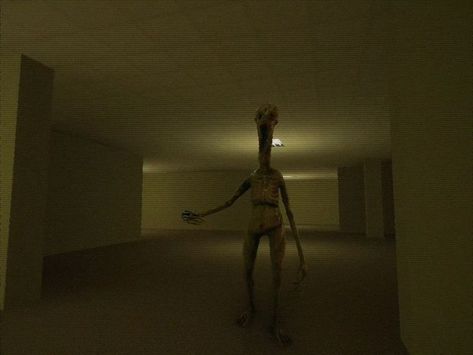 Backrooms - Scary Creature (Found Footage) Backrooms Creatures, Found Footage, Liminal Space, Short Film, Film, Lighting, Home Decor, Home Décor