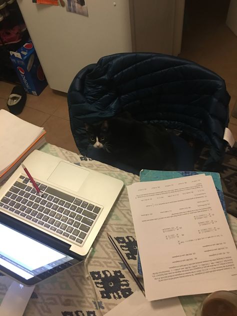 Study Moods, Someone Studying, Study Cafe, Blockchain Wallet, Study Related, Study Place, Tattoo Cat, Study Pictures, Study Board