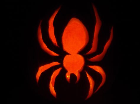 Spider jack o'lantern, carved by me from the Pumpkin Masters pattern book Spider Pumpkin Carving, Jack O Lantern Ideas, Pumpkin Carving Pictures, Jack O Lantern Diy, Spiderman Pumpkin, Pumpkin Decorating Kits, Spider Man Halloween, Pumpkin Masters, Lantern Template