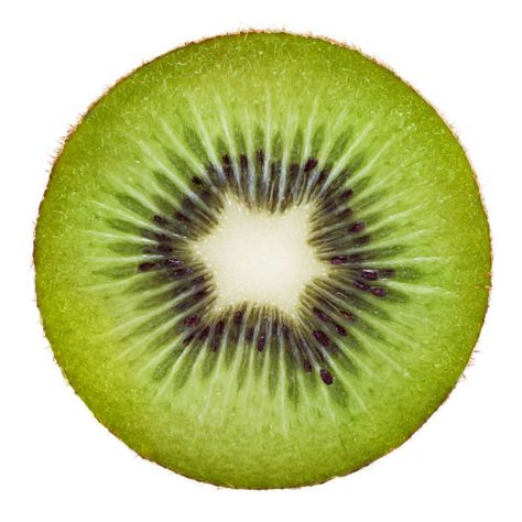 Kiwi Illustration, Most Filling Foods, Kiwi Salsa, Kiwi Seeds, Kiwi Smoothie, Reference Photos For Artists, Fruits Drawing, Fruit Picture, Pot Lights