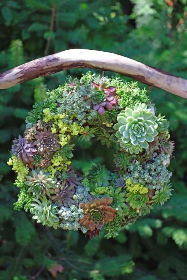 Living Wreath, Fleurs Diy, Succulent Wreath, Cactus Y Suculentas, Deco Floral, Cool Ideas, Succulents Diy, Garden Crafts, Succulents Garden