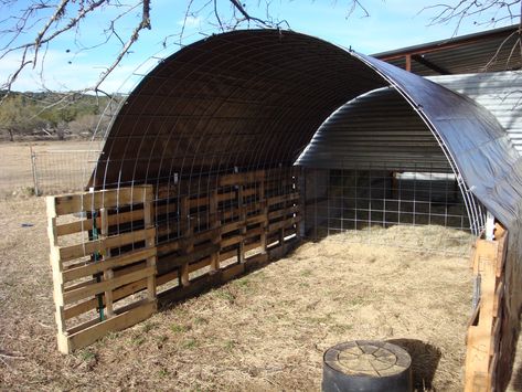 Llama Shelter, Sheep Shelter Ideas, Pasture Shelter, Diy Sheep, Sheep Shelter, Sheep House, Sheep Pen, Goat Shed, Livestock Shelter