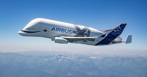 Airbus Beluga, Boeing 727, Aircraft Parts, Ocean Pollution, Solar Car, Boeing Aircraft, Aircraft Painting, Private Plane, Beluga Whale