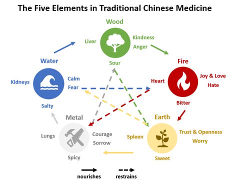 5 Elements Of Tcm, Tcm Nutrition, Chinese Metaphysics, Acupuncture Charts, Acupuncture Points Chart, Tcm Traditional Chinese Medicine, Ayurvedic Therapy, The Five Elements, Five Elements