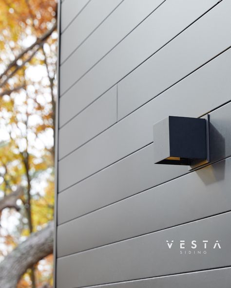 Vesta Steel Siding, Vertical Metal Siding, Dark Homes, Modern Siding, Steel Siding, Dark Paint Colors, Into The Darkness, Metal Siding, Black Windows