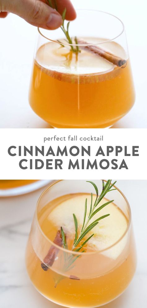 These cinnamon apple cider mimosas taste just like cinnamon apple cider but pack a major punch. With only three ingredients, they're the perfect Thanksgiving cocktails, Christmas cocktails, or Christmas morning cocktails! Beyond easy to whip together, these cinnamon apple cider mimosas are so popular. They'll become your new favorite Thanksgiving cocktails, Christmas cocktails, and Christmas morning cocktails, I guarantee it! Cider Mimosa Recipe, Apple Cider Mimosa Recipe, Cider Mimosa, Cider Mimosas, Christmas Drinks Alcohol Recipes, Apple Cider Mimosa, Christmas Drinks Alcohol, Mimosa Recipe, Fall Cocktail