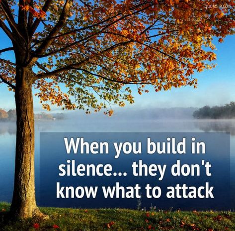 When you build in silence... they don't know what to attack.  #silencequotes #privatelife #keepyourlifeprivate #deeplifethoughts Build In Silence, Silence Quotes, Life Thoughts, Private Life, Don T Know, Image Quotes, Beautiful Images, Gratitude, Life Quotes