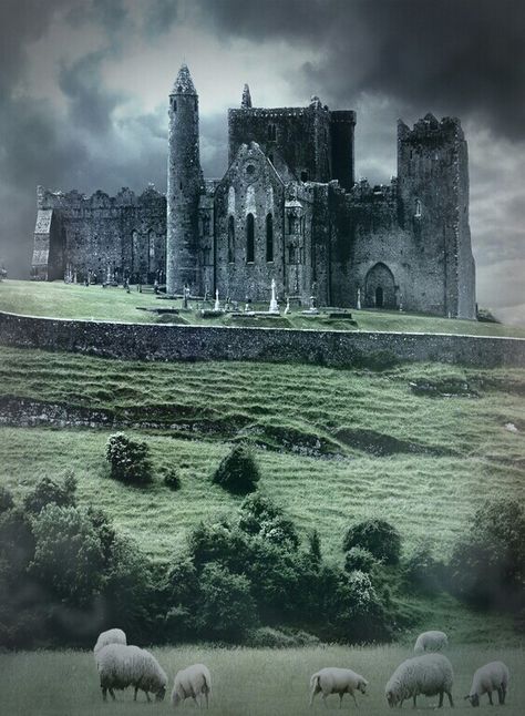 Irish Gothic Castle. Cashel Ireland, Rock Of Cashel, Castles In Ireland, Irish Art, Beautiful Castles, Ireland Scotland, Emerald Isle, Dream Living, Medieval Castle