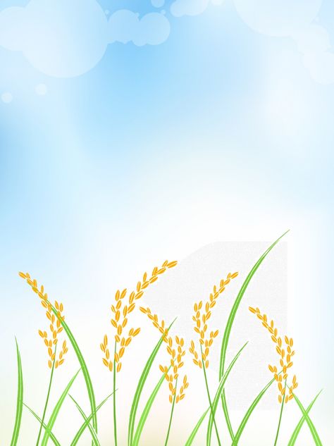 Agricultural Agricultural Rice Field Background Agriculture Aesthetic Background, Rice Background Design, Agriculture Background Design, Rice Field Drawing, Rice Field Illustration, Rice Field Background, Rice Wallpaper, Biology Assignment, Agriculture Background