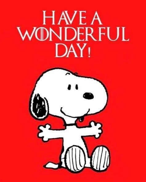 Peanuts Quotes, Charlie Brown Quotes, Good Morning Snoopy, Snoopy Dog, Happy Day Quotes, Snoopy Cartoon, Hug Quotes, Snoopy Funny, Snoopy Images