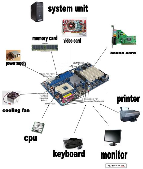 These are COMPONENTS OF A SYSTEM UNIT that mak up a system unit. System Unit Computer Drawing, System Unit Computer, Read Only Memory, System Unit, Cpu Socket, Computer Cpu, Computer Drawing, Central Processing Unit, Memory Chip