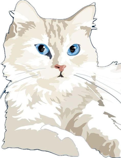 Meow Art, Persian Kitten, Persian Kittens, Cute Cat Drawing, Cat Sketch, Image Chat, Cat Artwork, Cat Portraits, Cat Painting