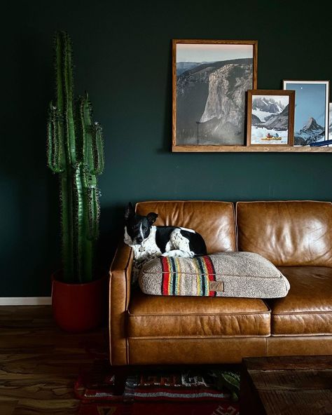 Abbi Hearne on Instagram: “Hands down, the most frequently asked question I get here on IG is “what color is that wall?” 🌚 Which I love, because this green wall is…” Essex Green, Gothic Cottage, Artificial Cactus, Black Planters, Green Palette, Cactus Decor, Silk Plants, Artificial Succulents, Plant Stands