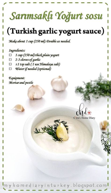 Garlic Yogurt Sauce, Meat Marinades, Turkish Yogurt, Ancient Medicine, Asian Dipping Sauce, Garlic Yogurt, Yoghurt Dip, Yoghurt Recipe, Meat Marinade