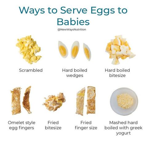 Ways to Serve Eggs | New Ways Nutrition Weaning Toddler, Baby Led Weaning Breakfast, Fingerfood Baby, Baby Led Weaning First Foods, Toddler Nutrition, Weaning Foods, Baby Led Feeding, Eggs For Baby, Baby Led Weaning Recipes